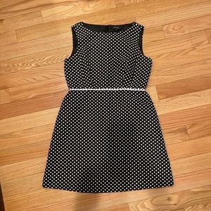 Tahari Polka Dot Dress